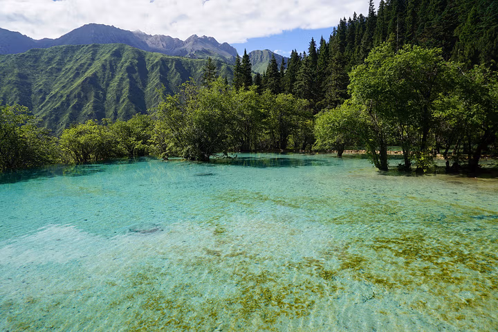 Huanglong Scenic Area: The Complete Visitor Guide 11 Huanglong Scenic Area: The Complete Visitor Guide