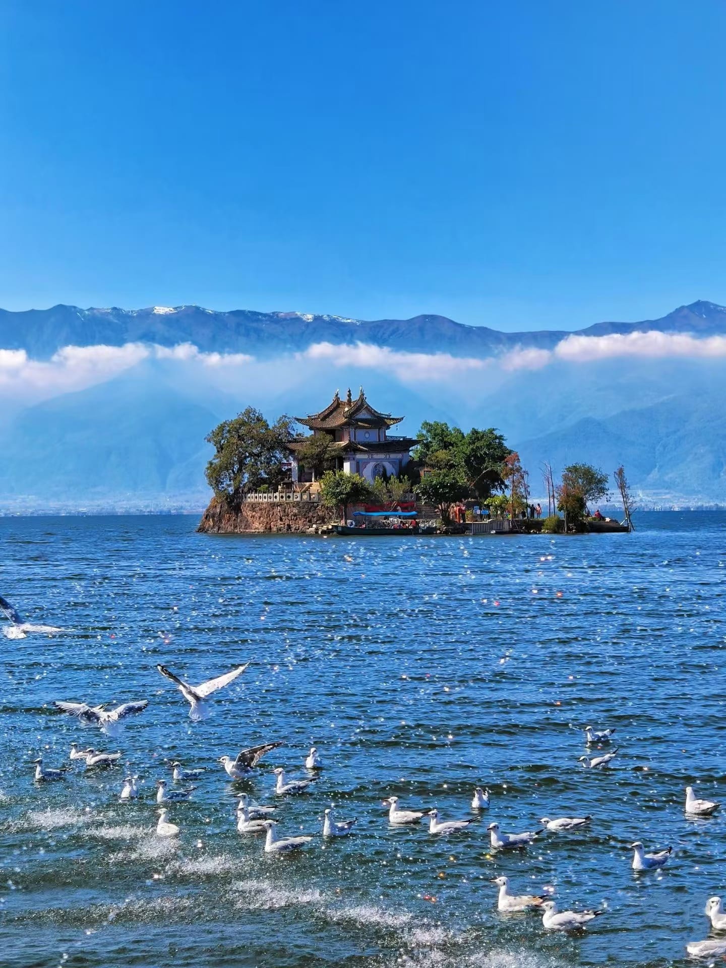 Little Putuo Island (Xiaoputuo), Dali: Best Seen From The Shore 2 A Small Island Sits On The Lake Where The Water Meets The Sky In One Color, With Seagulls Flying Around It.