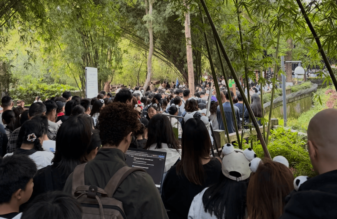 April 3, 2026, 08:00 — A Long Queue Of Visitors Waiting To See “Hua Hua” (Hua Hua The Giant Panda).