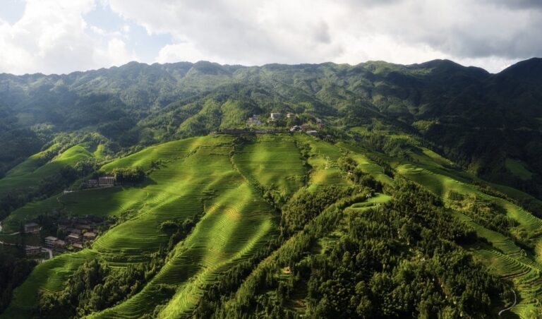 Longji Rice Terraces
