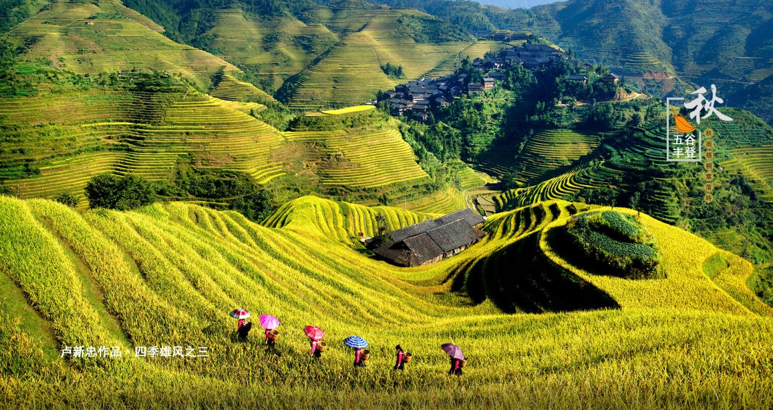 Lowland Rice Terraces Complete Guide To Rice Terraces In China For Travelers 2026