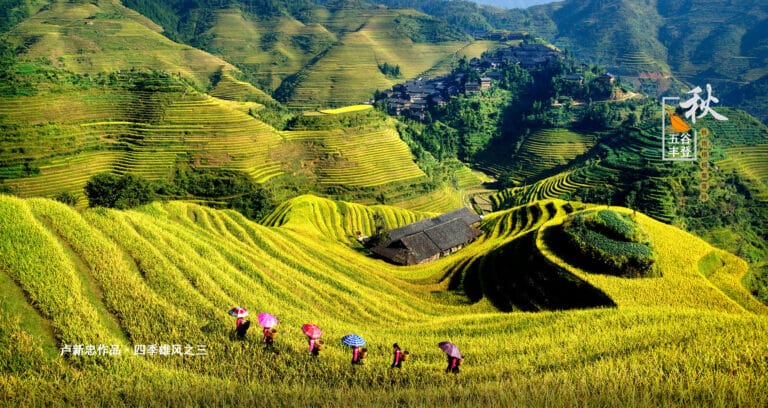 Lowland Rice Terraces Complete Guide To Rice Terraces In China For Travelers 2026