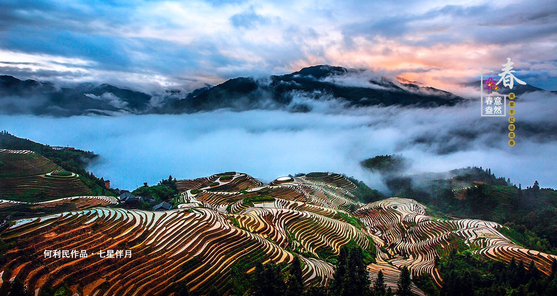 Comprehensive Guide To Rice Terraces In China: What Most Guides Won'T Tell You 21 Longji Rice Terraces - Spring