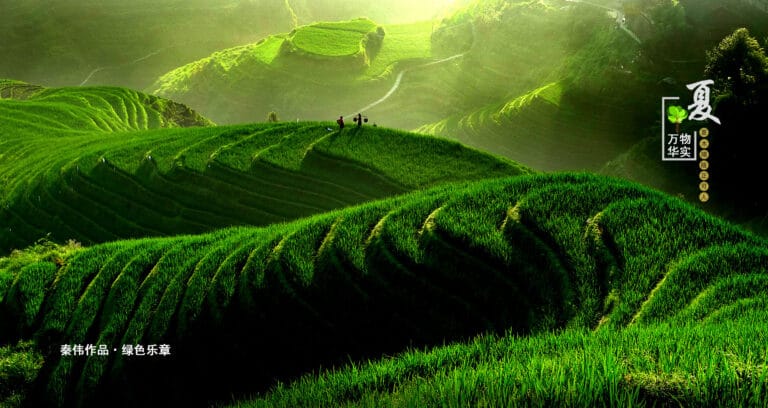 Lowland Rice Terraces Complete Guide To Rice Terraces In China For Travelers 2026