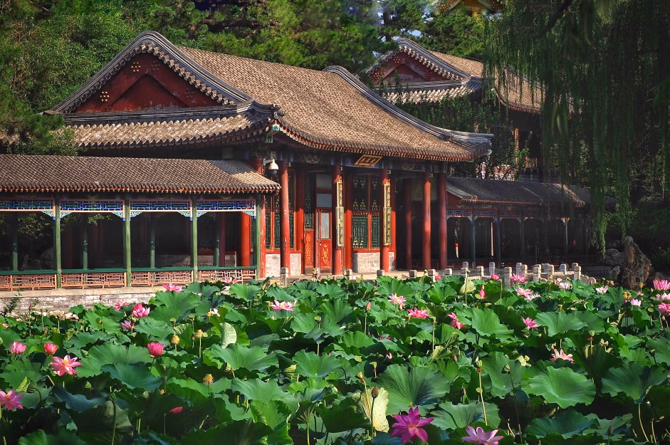 Chinese Flowers: A Complete Travel Guide To China'S Most Beautiful Blooms 8 Chinese Flowers: A Complete Travel Guide To China'S Most Beautiful Blooms