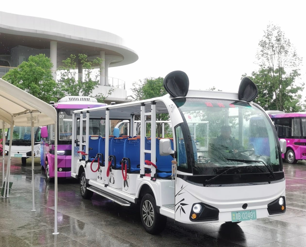 Mianyang Panda Base - Sightseeing Cart