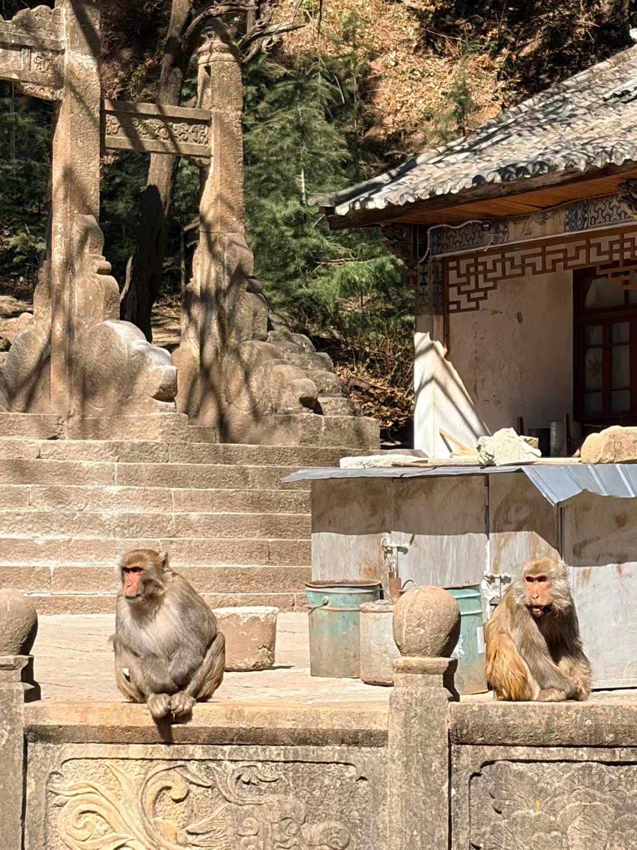 Shizhongshan Grottoes At Shibaoshan: All In One Guide 35 Monkey At Entrance Of Baoxiang Temple
