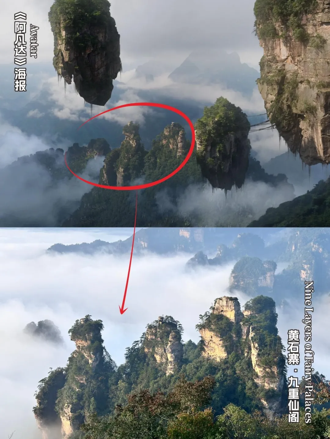 Unveiling The Top 10 Filming Locations Of Avatar In Zhangjiajie