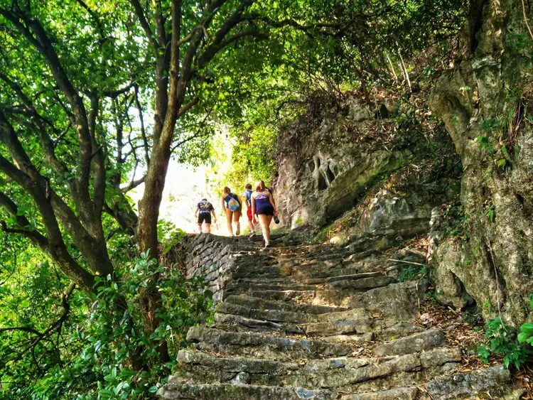 Damian Mountain: Hike Guide, Views &Amp; Getting There 11 Osmanthus Ancient Trail