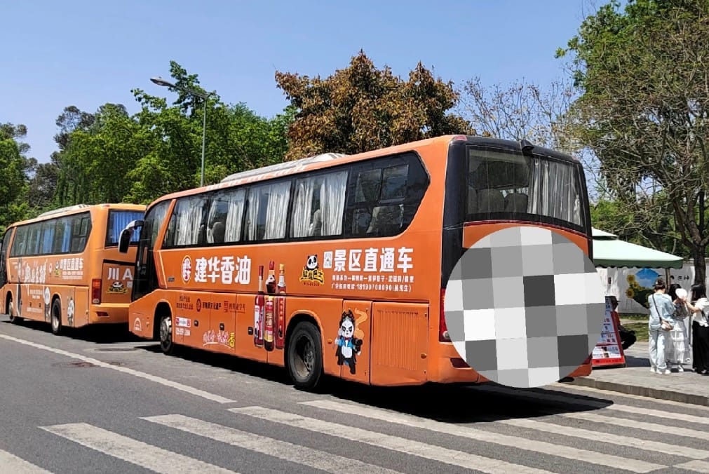 How To Get To Chengdu Panda Base (All In One Guide) 10 Panda Bus