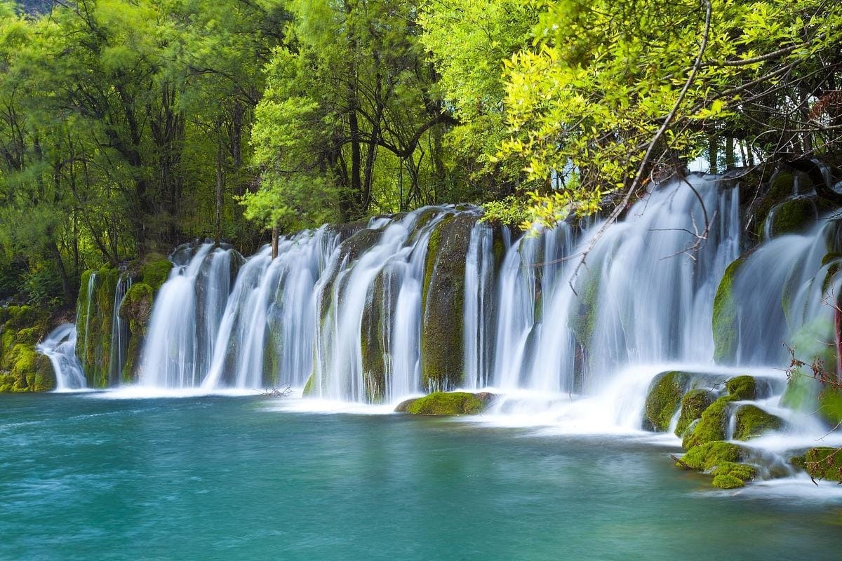 Serene Waterfall In Lush Greenery