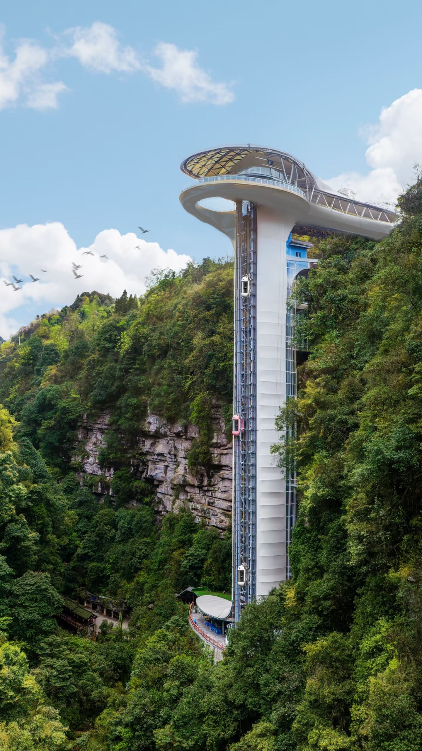 Panda Observation Elevator