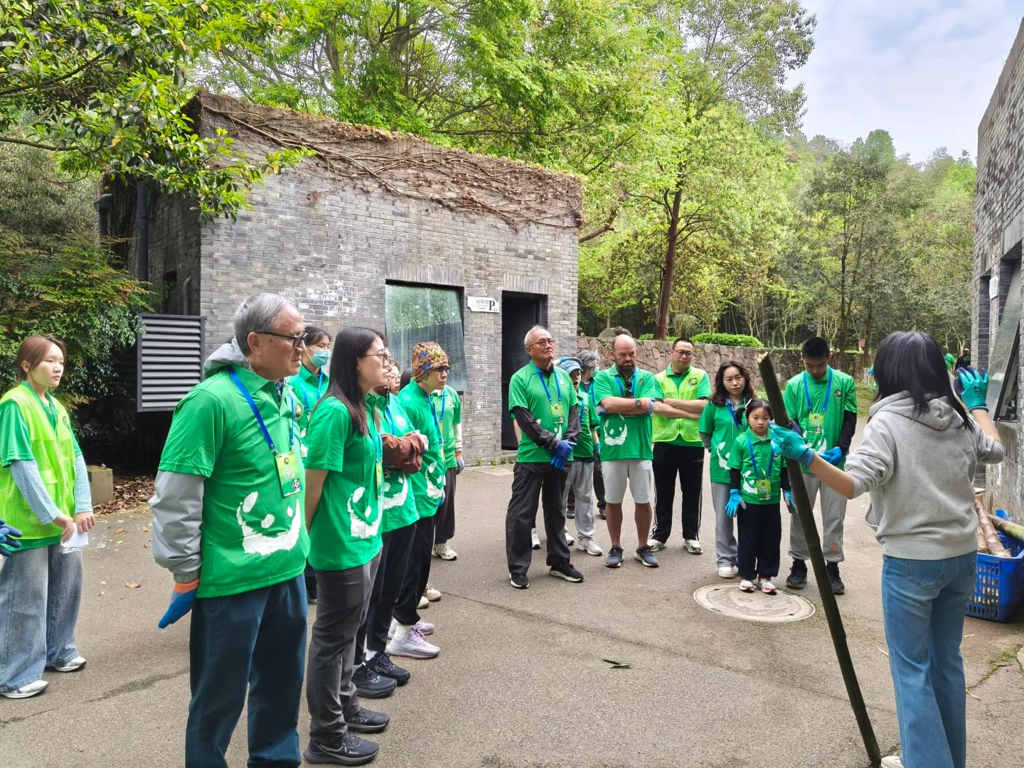 Wolong Panda Reserve (Shenshuping Base): Aio Guide