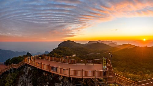 Picking Star Platform