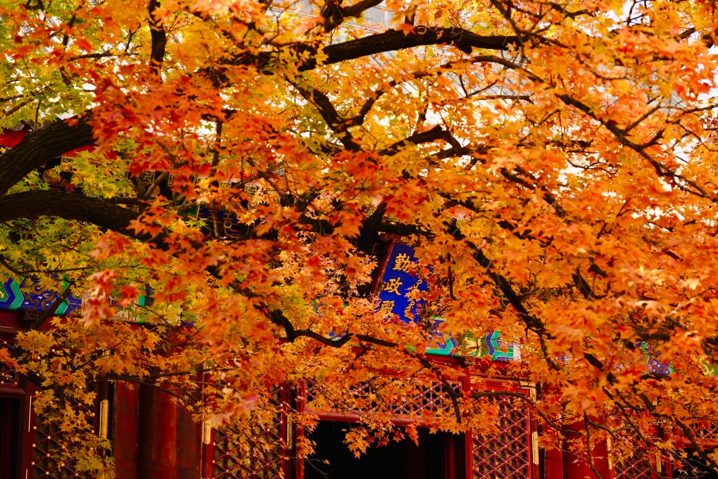 Best Time To Visit Beijing: An Honest Month-By-Month Guide 6 Best Time To Visit Beijing: An Honest Month-By-Month Guide