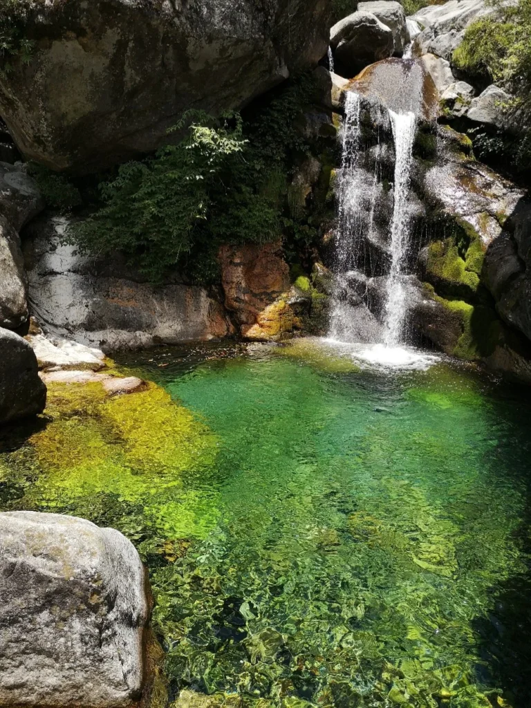 Seven Dragon Girl Pool