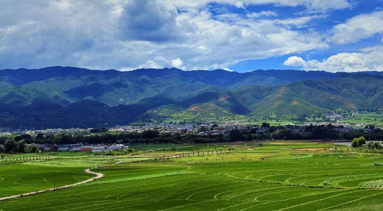 Shaoxi Ancient Town Rice Fields