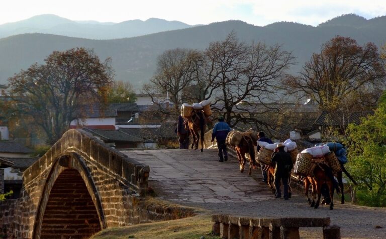 Shaxi Ancient Town Guide: Route, Friday Market &Amp; Tips 18 Shaxi Ancient Town Yujin Bridge