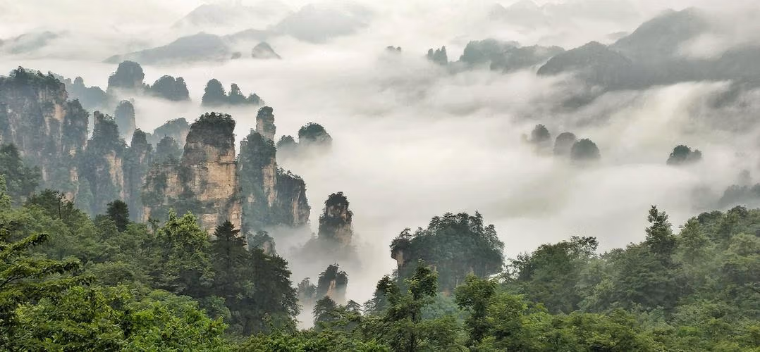 Tianzi Mountain In Zhangjiajie: The Complete Insider'S Guide 8 Tianzi Mountain In Zhangjiajie: The Complete Insider'S Guide