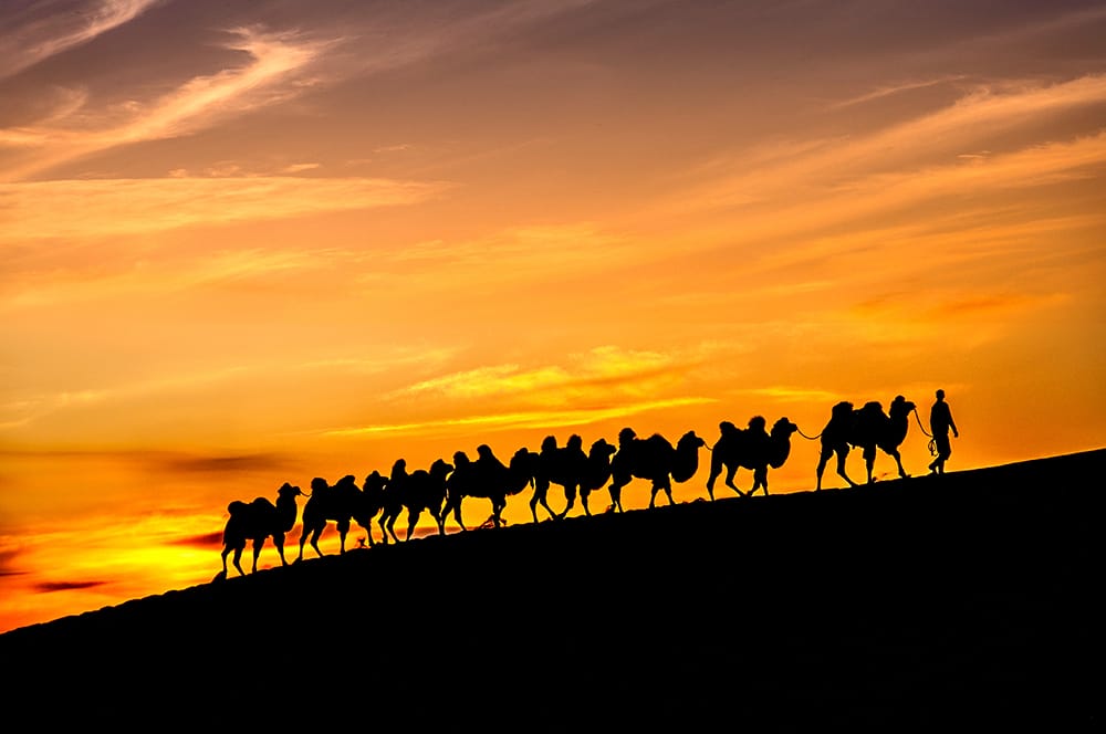 Silk Road