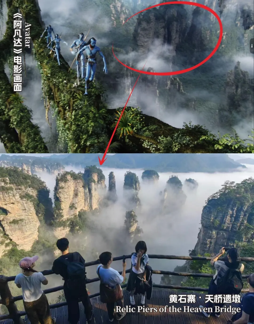 Unveiling The Top 10 Filming Locations Of Avatar In Zhangjiajie