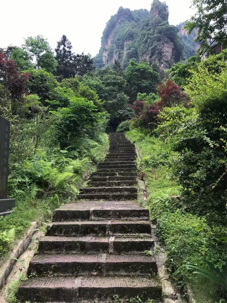 Steps Of Baofeng Lake