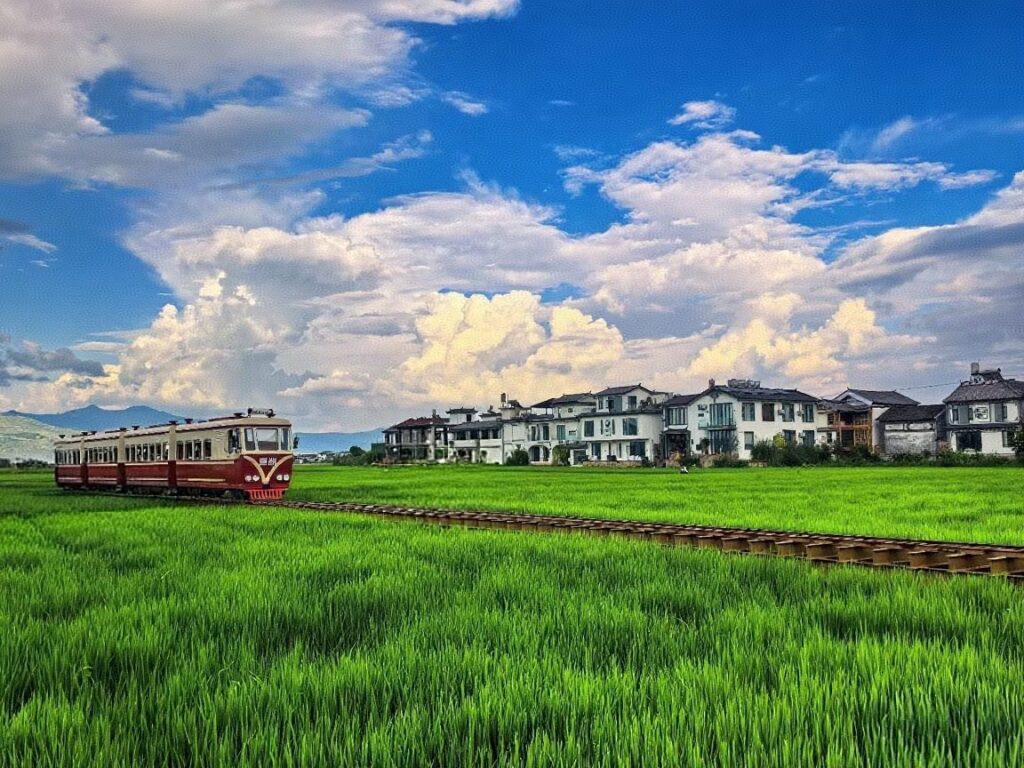 Summer In Xizhou Ancient Town Wheat Fields