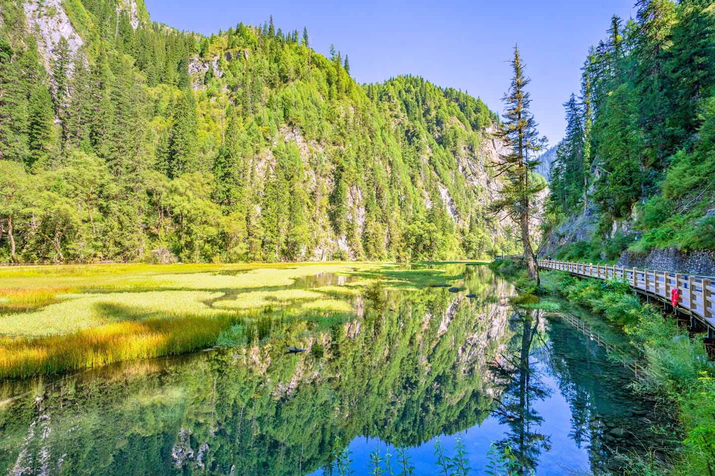 Lush Green Valley With Reflective Water