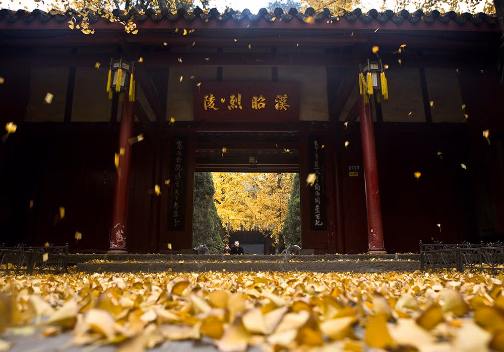 Wu Hou Shrine: A Complete Guide To Chengdu'S Ancient Memorial Temple Of Marquis Wu