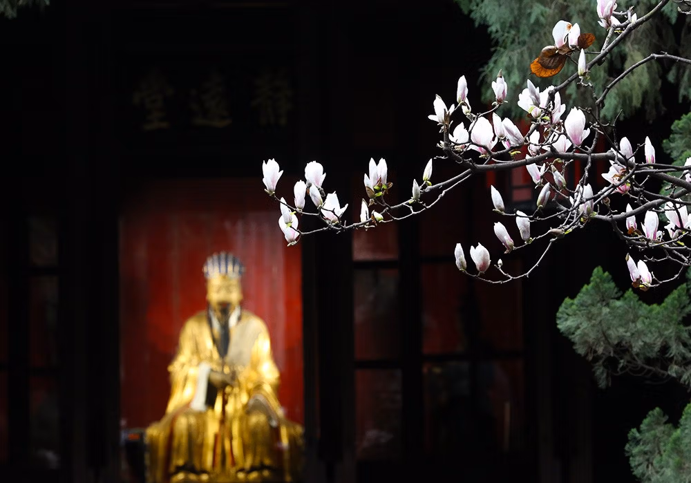 Wu Hou Shrine: A Complete Guide To Chengdu'S Ancient Memorial Temple Of Marquis Wu