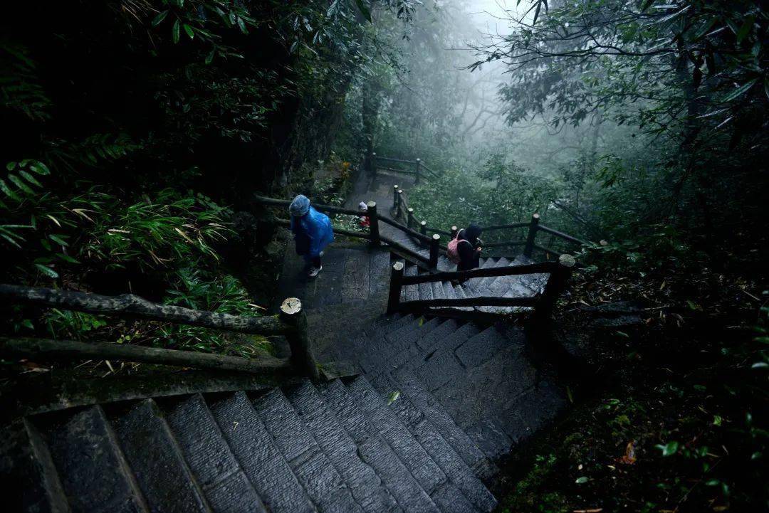 Mount Emei Travel Guide: Tickets, Fees &Amp; All Routes 10 The 99 Bends Of Mount Emei