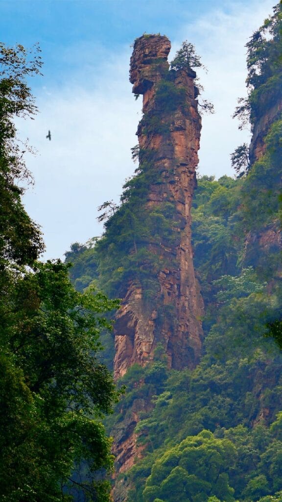 Zhangjiajie Ten-Mile Gallery Tram Guide: Walk, Ride, Or Skip? 7 The Herb Collecting Old Man