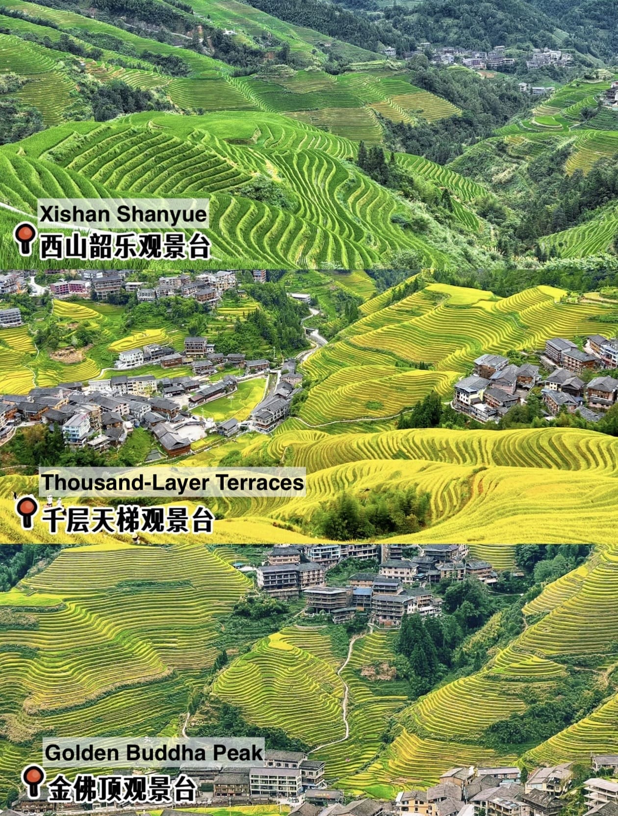Longji Rice Terraces: The Complete Guide To Ping'An, Dazhai, And Longji Ancient Zhuang Village 9 The Three Viewing Platforms Of Jinkeng Dazhai Longji Rice Terraces