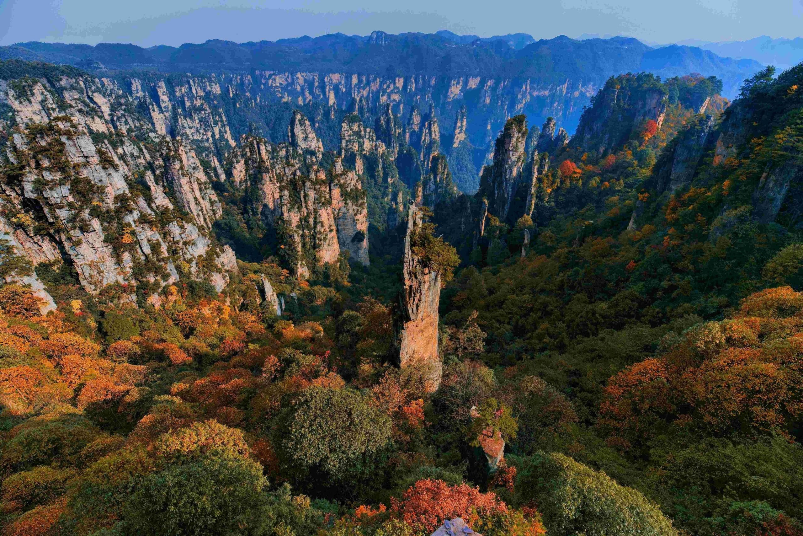 Tianzi Mountain - Autumn