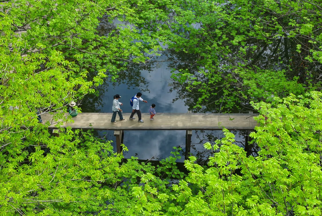 Xixinan Village: Complete Travel Guide To Huangshan'S Hidden Ancient Water Village 7 On April 7, 2025, Tourists Enjoy A Spring Outing At Xixinan Wetland In Huizhou District, Huangshan City, Anhui Province. (Drone Photo)
Cicphoto / Photo By Shi Yalei