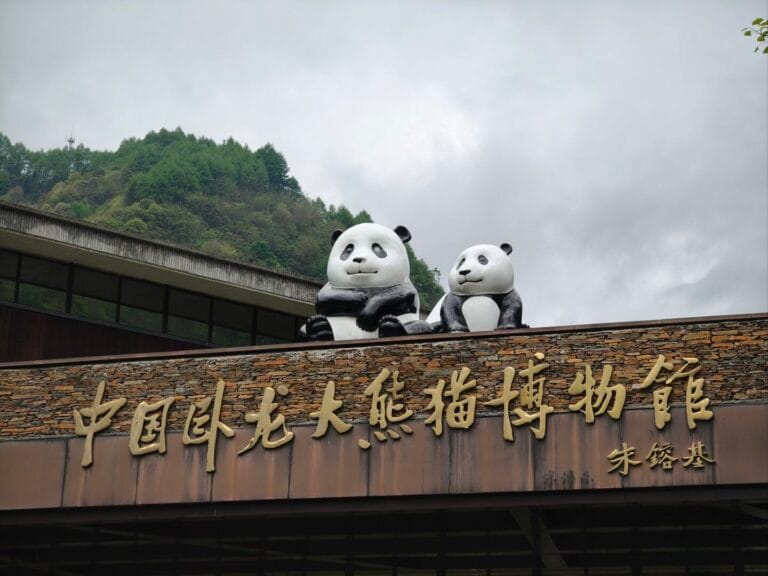 Wolong Panda Reserve