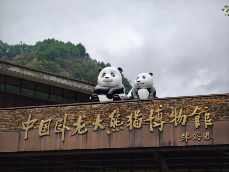 Wolong Panda Reserve