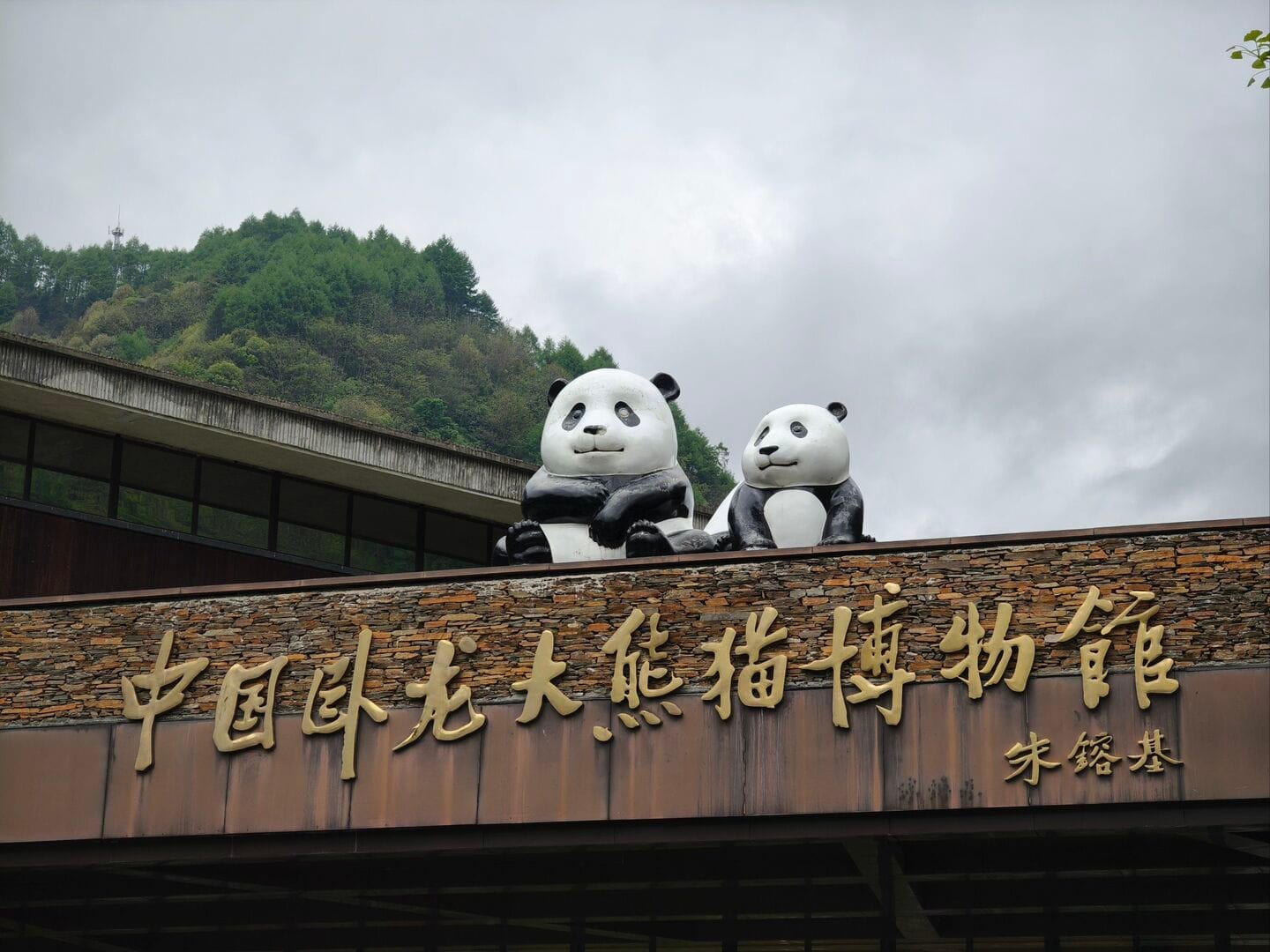 Wolong Panda Reserve