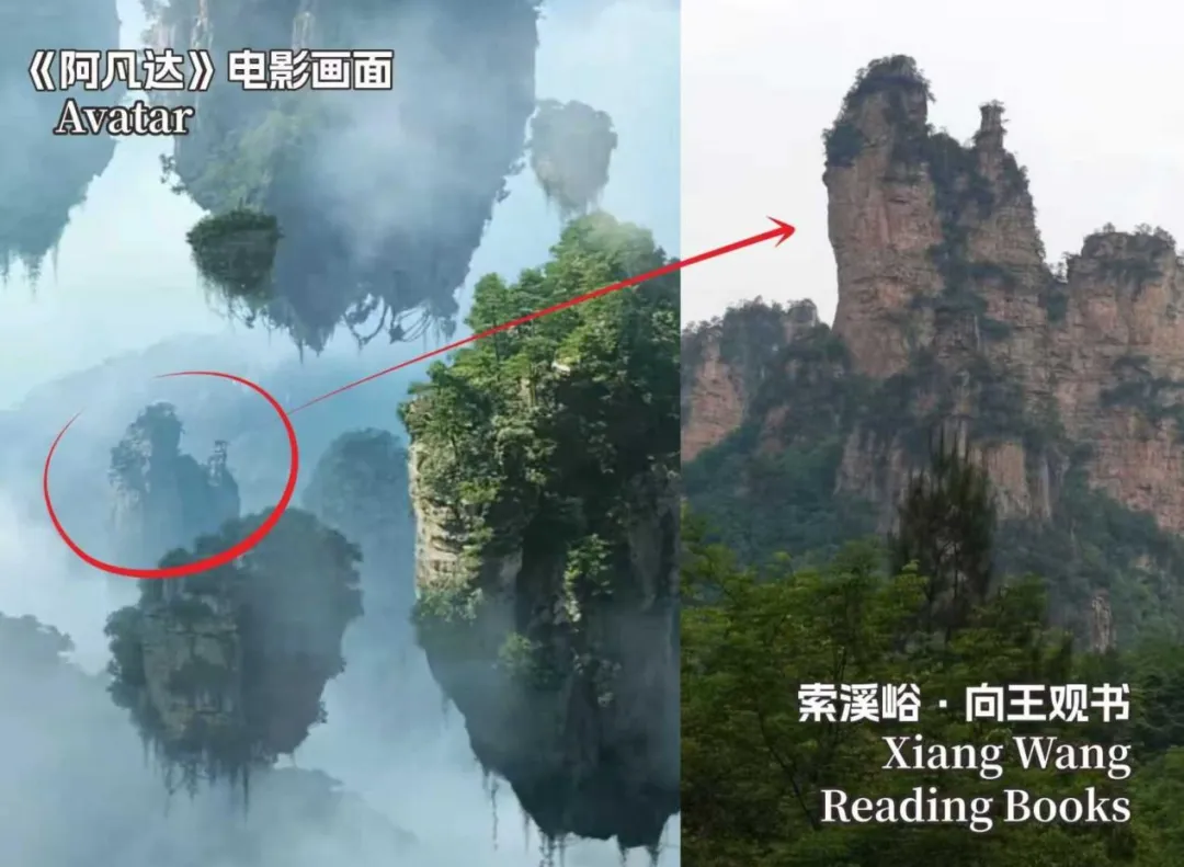Unveiling The Top 10 Filming Locations Of Avatar In Zhangjiajie