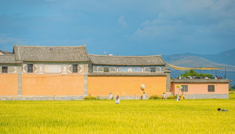 Xizhou Ancient Town Rice Fields
