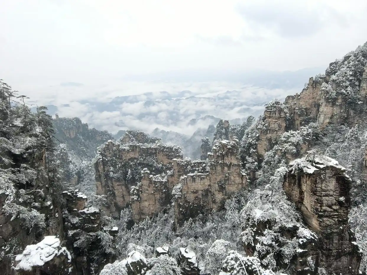 In January 2026, Yangjiajie Scenic Area In Zhangjiajie National Forest Park Welcomed Its First Snowfall Of The Winter. The Vast Quartz Sandstone Peak Forest Was Blanketed In Snow, While Rime Ice Covered The Tree Branches. Known For Its Spectacular “Natural Peak Walls,” Yangjiajie Transformed Into A Breathtaking Winter Wonderland After The Snowfall.