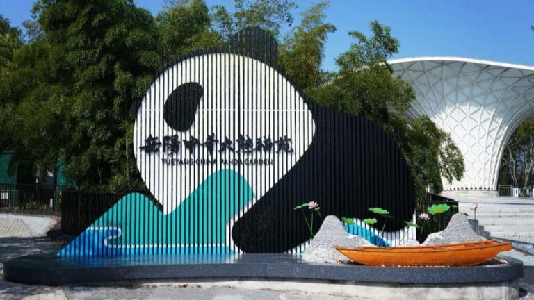 Yueyang Chinese Giant Panda Garden: Complete Visitor Guide 1 Yueyang Chinese Giant Panda Garden