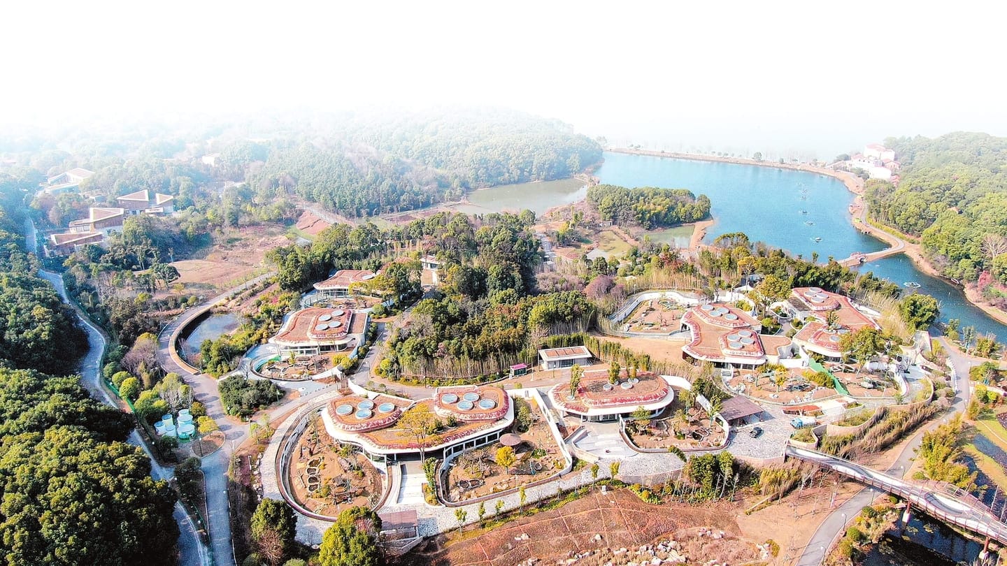Yueyang Chinese Giant Panda Garden: Complete Visitor Guide 2 Yueyang Chinese Giant Panda Garden - Panoroma