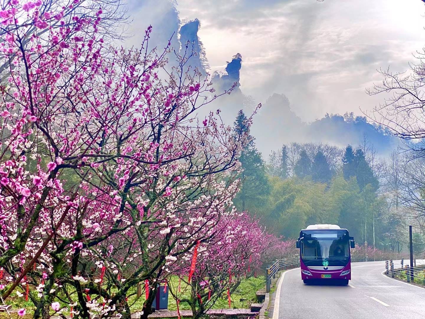 Zhangjiajie Eco-Bus