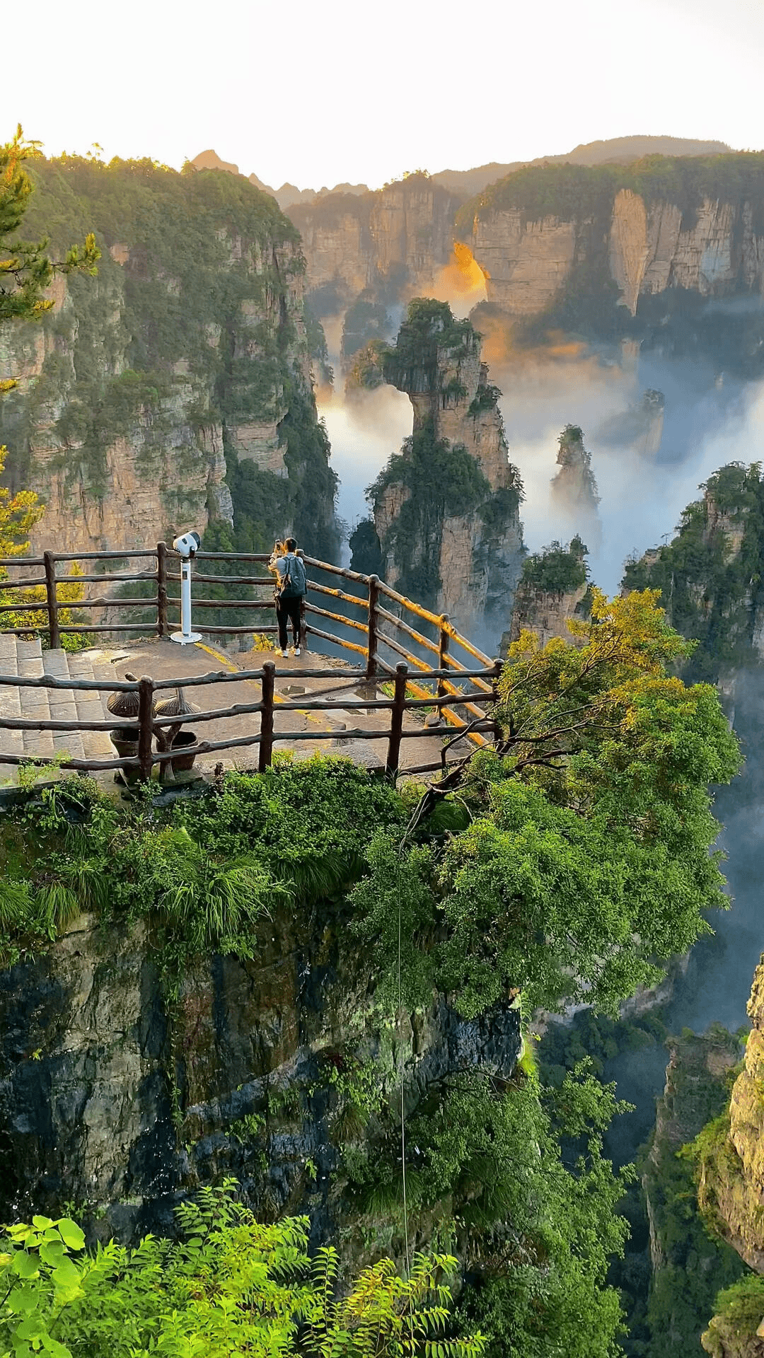 Avatar Mountains In Zhangjiajie: The Complete Guide To China'S Floating Peaks