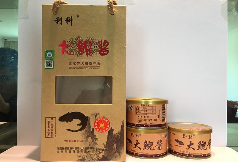 Zhangjiajie Salamander Paste