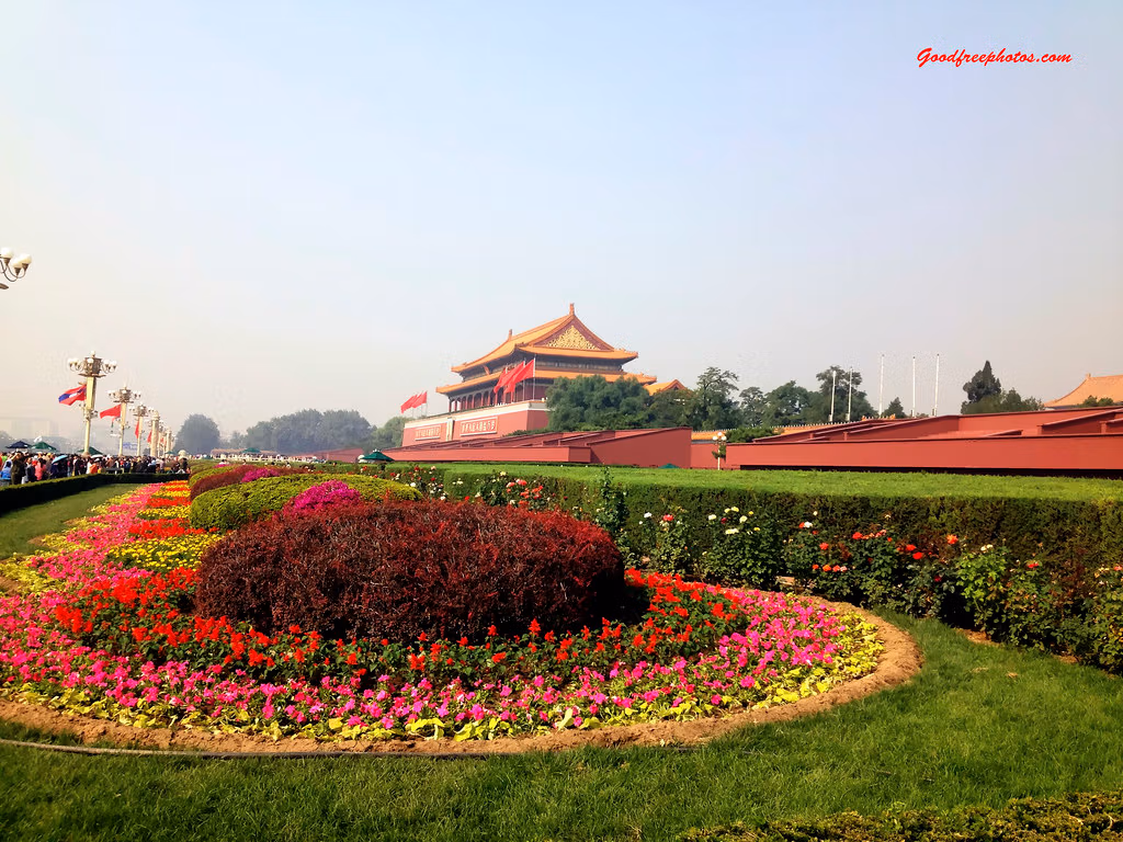 Chinese Flowers: A Complete Travel Guide To China'S Most Beautiful Blooms 13 Chinese Flowers: A Complete Travel Guide To China'S Most Beautiful Blooms