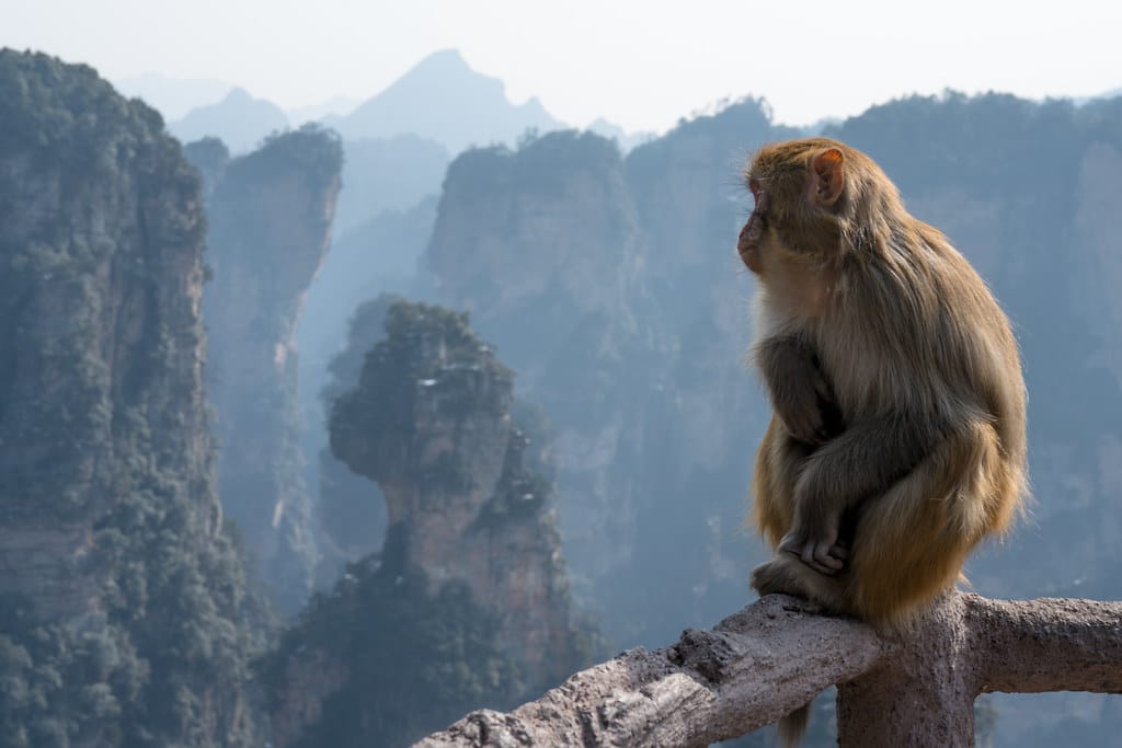 Ten-Mile Gallery (Shili Hualang): The Ultimate Expert Guide 9 Ten-Mile Gallery (Shili Hualang): The Ultimate Expert Guide