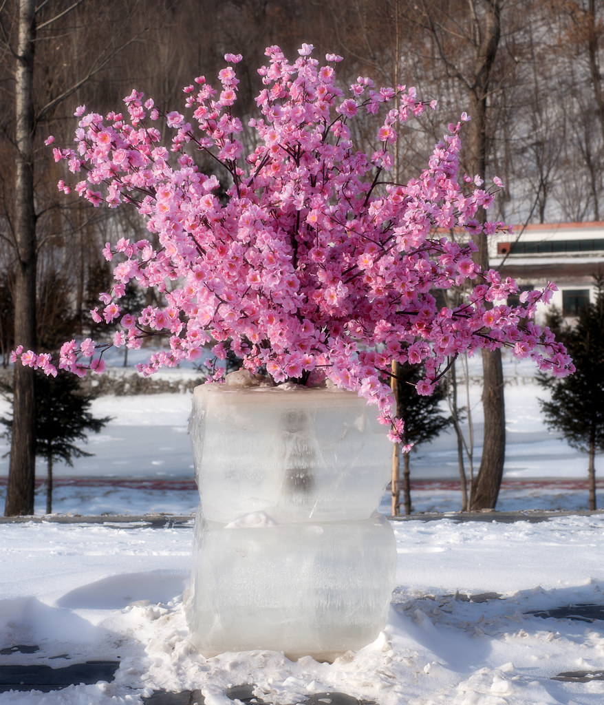 The Ultimate Guide To Top Ski Resorts In China 16 The Ultimate Guide To Top Ski Resorts In China