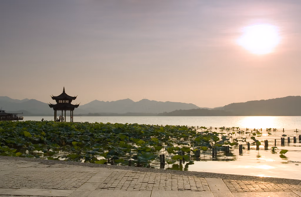 Chinese Flowers: A Complete Travel Guide To China'S Most Beautiful Blooms 5 Chinese Flowers: A Complete Travel Guide To China'S Most Beautiful Blooms